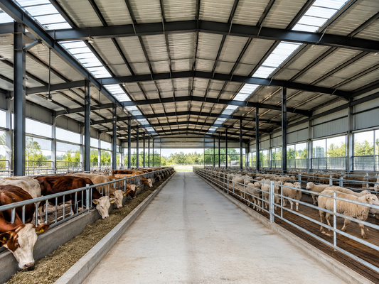 Carga viva en cubierta 035kn M2 Almacén de estructura de acero ligero Edificio de almacenamiento de acero Solución duradera para necesidades de almacenamiento industrial